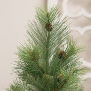 Forest Path Pine Tree in Pail - 18"