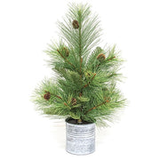 Forest Path Pine Tree in Pail - 18"