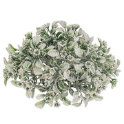 Frosted Fantasy Boxwood Half Sphere - 8"