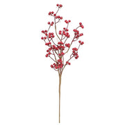 Winter Gooseberry Spray - 26"