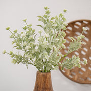 White Star Lavender Buds Bush - 12"