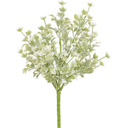White Star Lavender Buds Bush - 12"