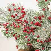 Frosted Pepper Berry & Pine Spray - 14"