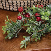 Frosted Boxwood & Gooseberry Garland - 5ft