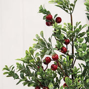 Frosted Boxwood & Gooseberry Spray - 28"