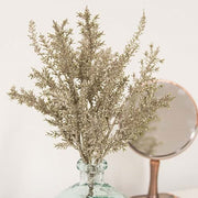 Platinum Spruce Spray - 20"