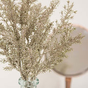 Platinum Spruce Spray - 20"