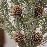 First Frost Pine Spray with Cones - 19"