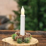 Icy Bristle Pine & Cone Taper Ring - 1"