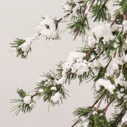 Glistening Snowy Mini Ming Pine Tree with Burlap Base - 5 Ft.