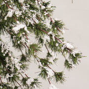 Glistening Snowy Mini Ming Pine Tree with Burlap Base - 6 Ft.