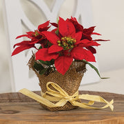 Winter Party Mini Poinsettia in Burlap Pot - 7"H