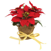 Winter Party Mini Poinsettia in Burlap Pot - 7"H