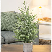 Potted Winter Dreams Fine Pine Tree - 24"H