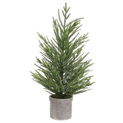 Potted Winter Dreams Fine Pine Tree - 24"H