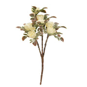 Frosted Fantasy Cream Rose Pick - 8"
