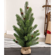 Soft Touch Balsam Fir Tree With Burlap Base - 36"