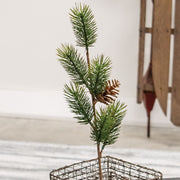 Soft Touch Balsam Fir Pick - 15"