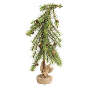Luxemburg Pine Tree With Burlap Base - 2 Ft.