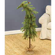 Luxemburg Pine Tree With Burlap Base - 4 Ft.