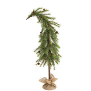 Luxemburg Pine Tree With Burlap Base - 4 Ft.