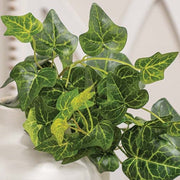 Lush Ivy Hanging Bush - 26"
