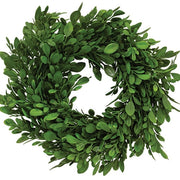 Evergreen Boxwood Wreath - 9"