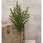 Evergreen Norfolk Pine Spray - 18"