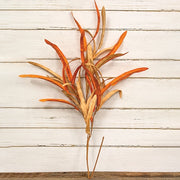 Soft Touch Tucson Yucca Leaves Branch - 36"