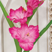 Pink Gladiolus Stem - 27"