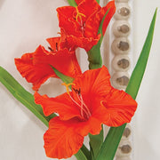 Coral Gladiolus Stem - 27"