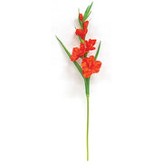 Coral Gladiolus Stem - 27"