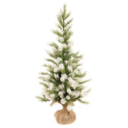 Frost Fade Pine Tree - 3ft