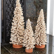 Champagne Gleam Bristle Tree - 8"