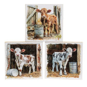 Baby Cow in Barn Portrait 6" Square Block  (3 Count Assortment)