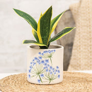 Blue Thistles Ceramic Planter - 4"H