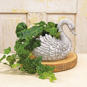 Resin Distressed Swan Planter - 8"H