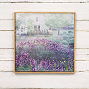 Misty Lavender Framed Wall Art - 18" Sq.