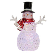 LED Icy Acrylic Snowman Figurine  (2 Count Assortment)