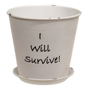 Positivity Distressed White Metal Planter with Tray  (Set of 2) (3 Count Assortment)