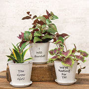 Positivity Distressed White Metal Planter with Tray  (Set of 2) (3 Count Assortment)