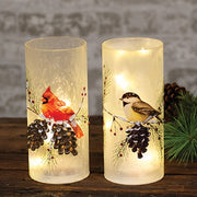 LED Frosted Winter Bird Glass Pillar  (2 Count Assortment)