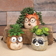 Resin Spectacled Garden Friend Planter  (3 Count Assortment)