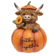 Resin Harvest Highland in Pumpkin  (3 Count Assortment)