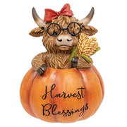 Resin Harvest Highland in Pumpkin  (3 Count Assortment)