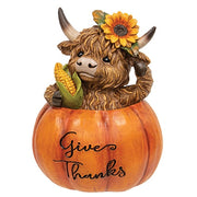 Resin Harvest Highland in Pumpkin  (3 Count Assortment)