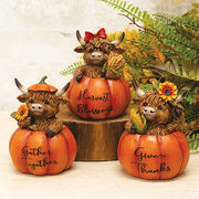 Resin Harvest Highland in Pumpkin  (3 Count Assortment)