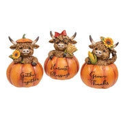 Resin Harvest Highland in Pumpkin  (3 Count Assortment)