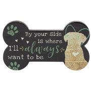 Dog Bone Magnet  (2 Count Assortment)