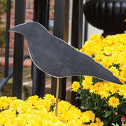 Wooden Crow Planter Stake Topper - 4"